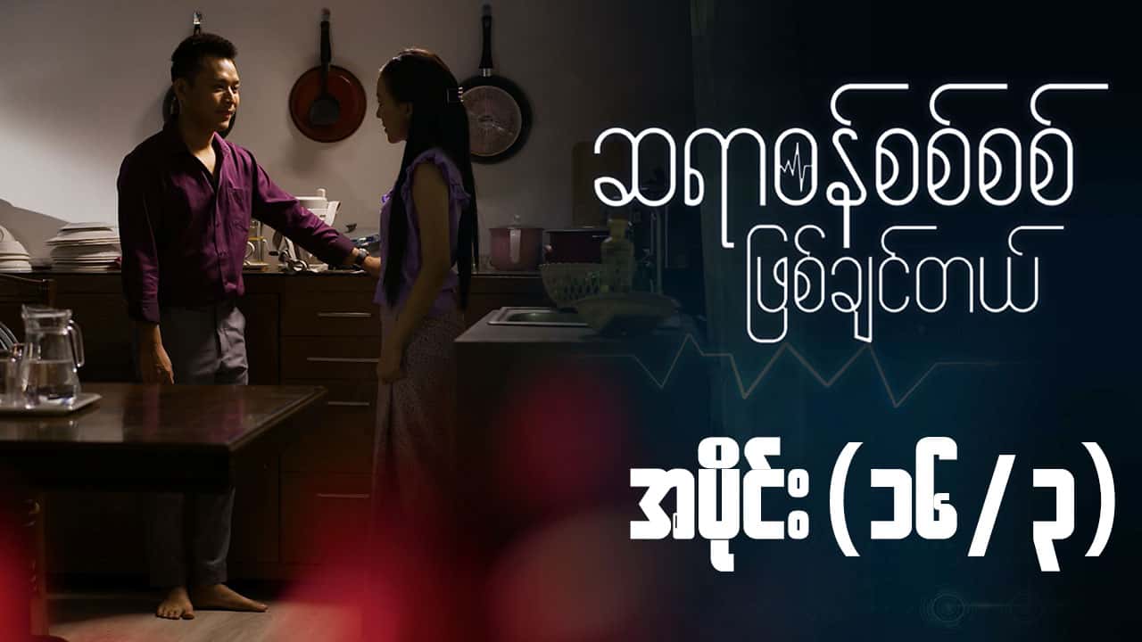 ဆရာဝန်စစ်စစ်ဖြစ်ချင်တယ်-အပိုင်း ၁၆/၃
